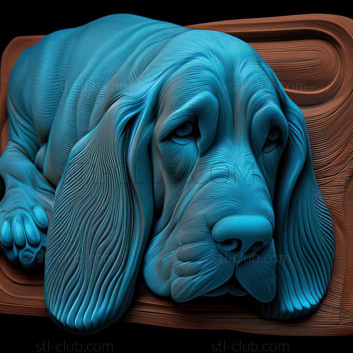 st Blue Gascon Basset dog